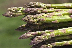 asparagus1_0.jpg