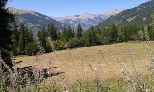 France - Col des Champs Vue de Ratery