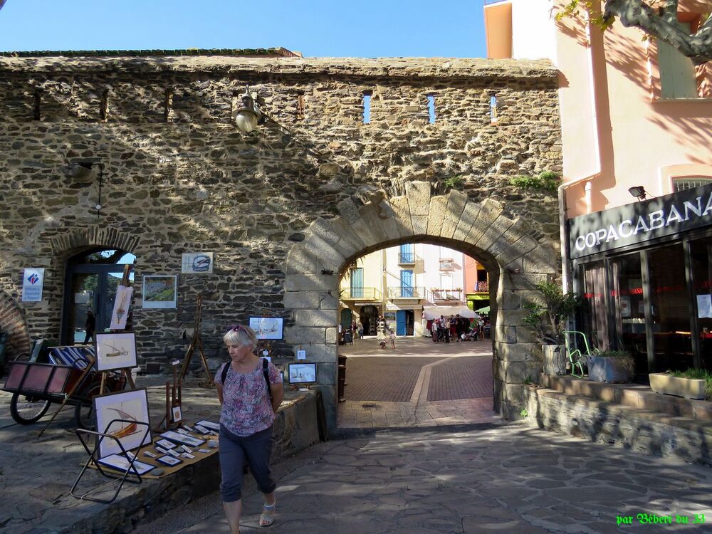 Collioure - Pyrénées Orientales -1