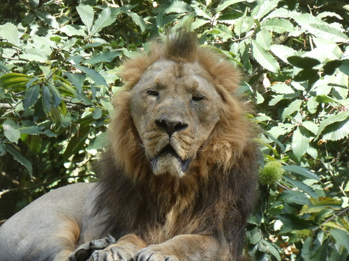 Zoo La Boissière Du Doré