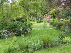 Mon jardin dans l'ensemble 