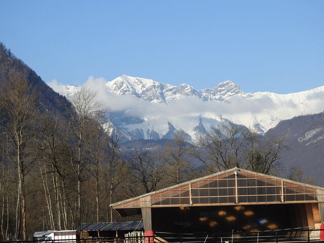 3 loups en Savoie sur Ugine