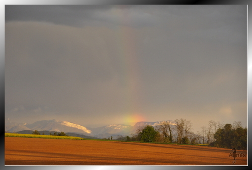 GRAIN d'ETOILE