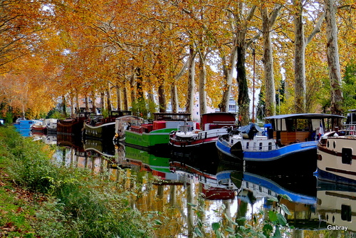 Canal du Midi : des péniches