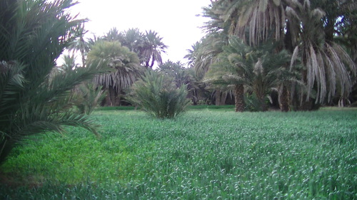 De Erfoud à Ouled Chaker