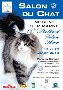 ► 13ème Baltard Feline Show