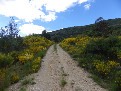 Topo Montagne de l'Arsuc