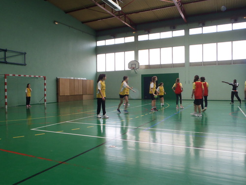 Championnat departemental Handball