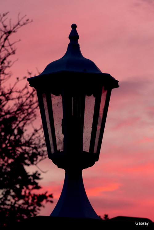 Vieille-Toulouse : soleil du soir ...