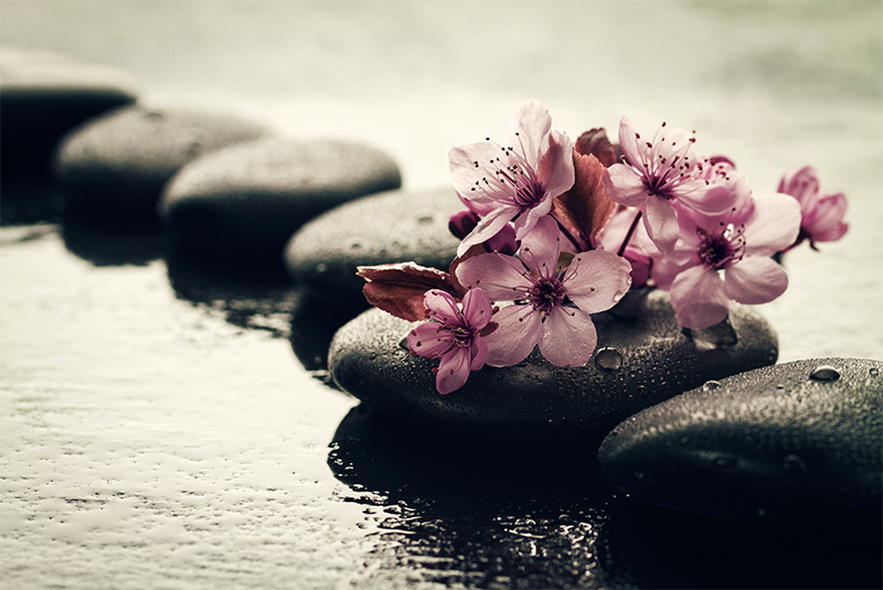 Tableau fleurs zen dans l'eau - TenStickers