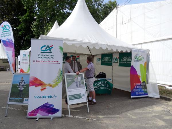 Les Journées Châtillonnaises 2015