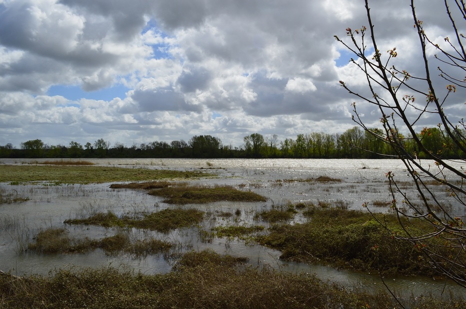 Rando Beaugency/Lestiou