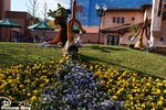 Disney's Hollywood Studios - Entrance & Hollywood Boulevard