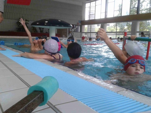 Cycle natation