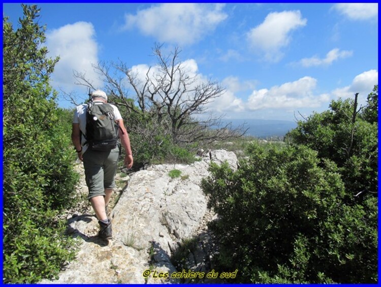 Sainte Baume la tour cauvin