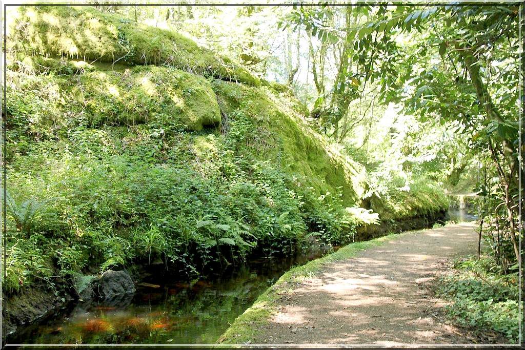 978 - Xtian et le Bisse de Huelgoat dans les Monts d’Arrée (29)