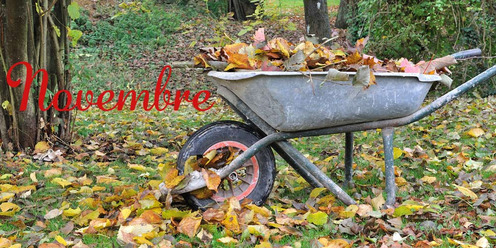 Jardiner en novembre – Activités au jardin en novembre - PRÊT A JARDINER