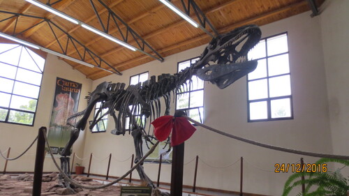 Un musée paléontologique