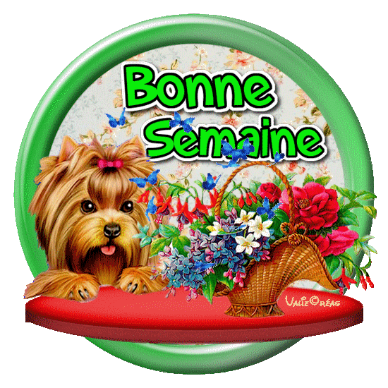 Bonne Semaine ... PRINTEMPS 2