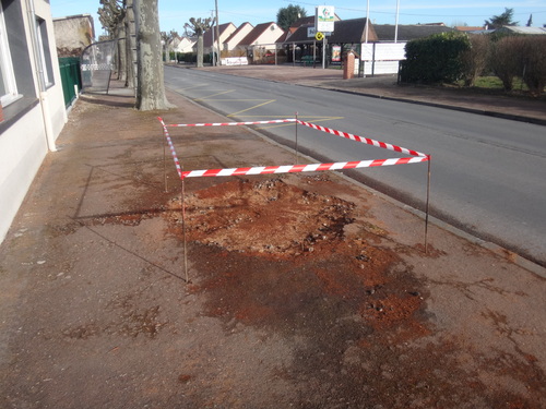 Et d’un ! (à propos de l’abattage d’un des platanes de la route de Cerdon) 