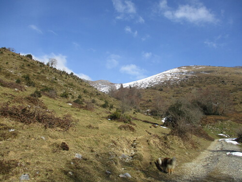 Cabane (2 nuits) : vallon de Couscoulha (vallée d'Ossau) - 64