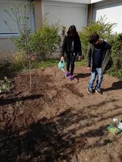 Suite préparation Potager