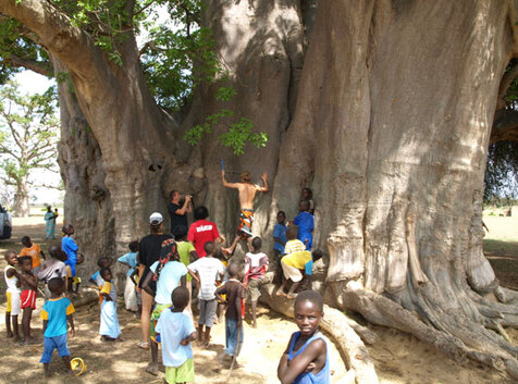 Résultat de recherche d'images pour "autour du baobab"