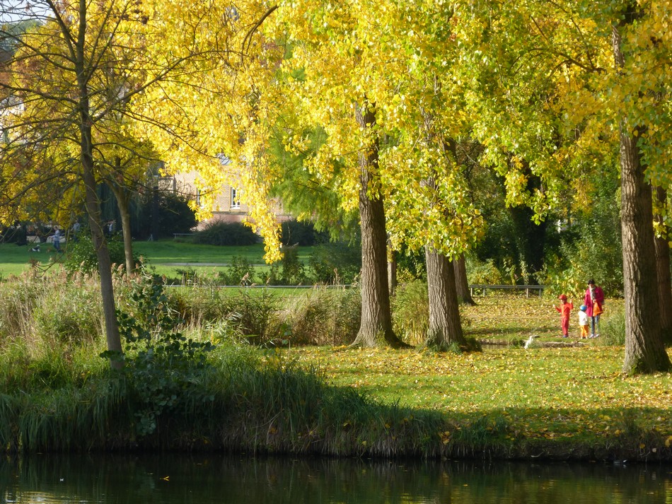 Trésors d'automne chez Anniclick