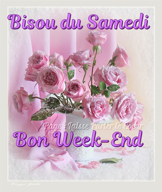 Bon Samedi et Bon Week-End, Les Ami(e)s - améthyste