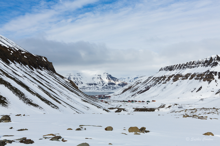 Longyearbreen