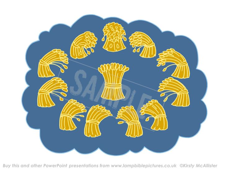 Joseph's dream - sheaves of corn. From the PowerPoint presentation: Joseph - coat & dreams | Lamp Bible Pictures