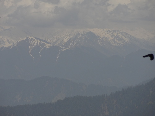 Shimla (2205 m d'altitude)