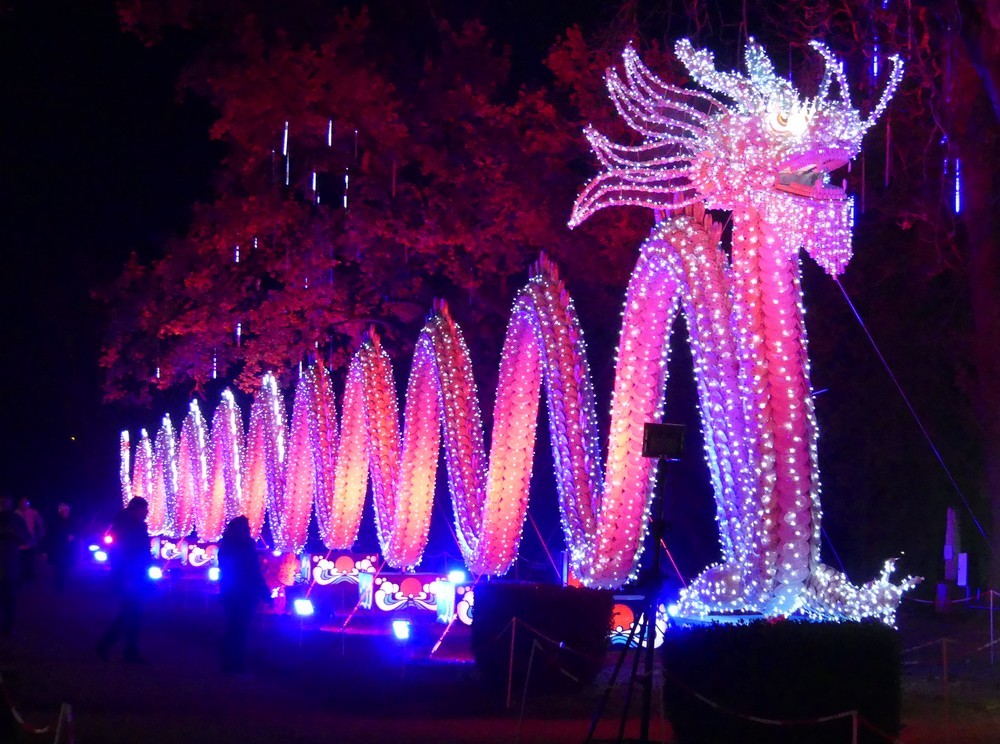 Le dragon qui crache du feu, au Festival des lumières chinoises, à Gaillac...