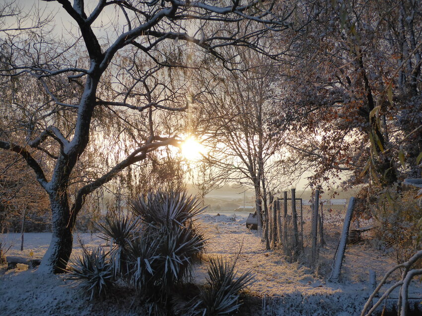 Neige de début Décembre,