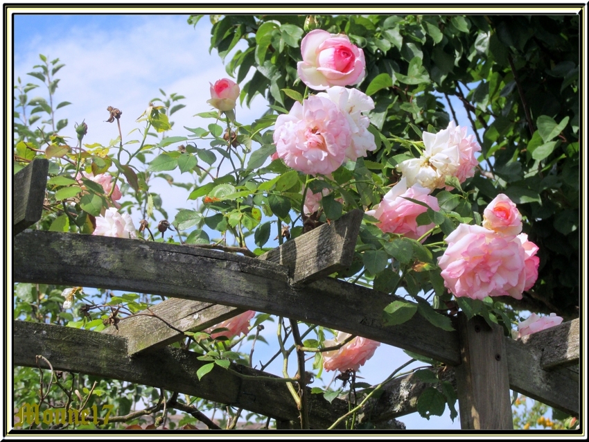 La porte du jardin est ouverte 