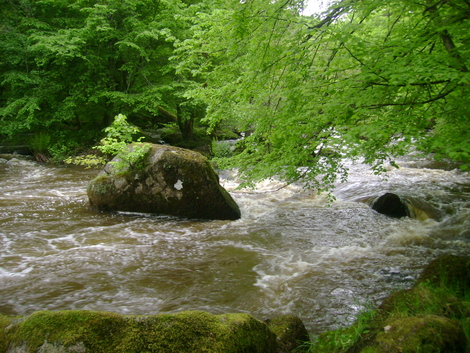 RANDONNEE A SAINT-JUNIEN .HAUTE-VIENNE . 87200