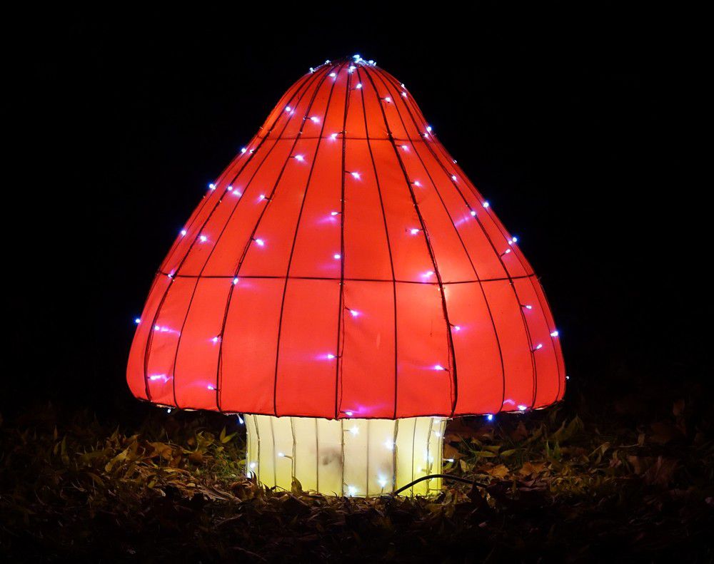 Les lumières légendaires à Bordeaux - Les champignons...