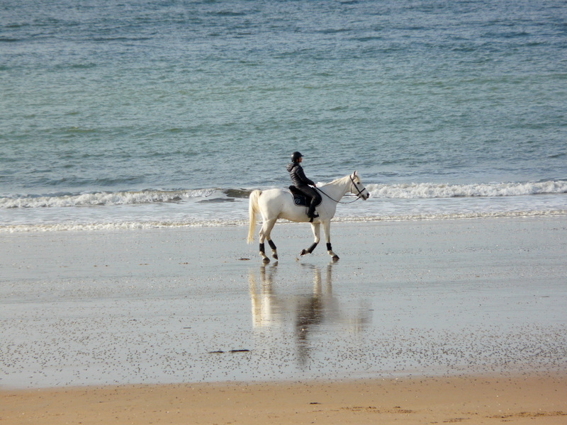 Sur la plage ce matin...