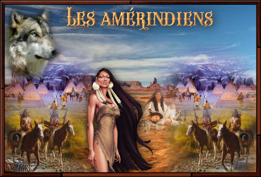 Amérindien - Page 3 1564830855-amerindiens