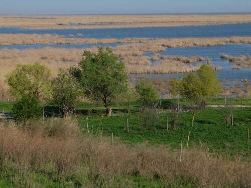 Patrimoine mondial de l'Unesco : Le delta du Danube - Roumanie -