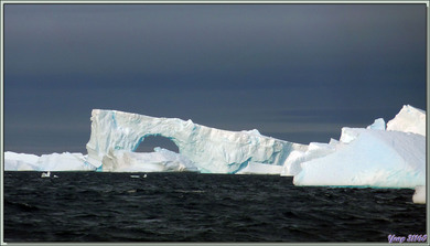 Dès notre embarquement pour rejoindre Pleneau Island, nous naviguons au milieu des icebergs - Péninsule Antarctique