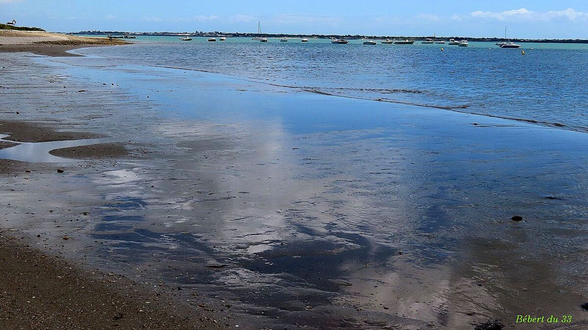 balades dans l'Ile de Ré 