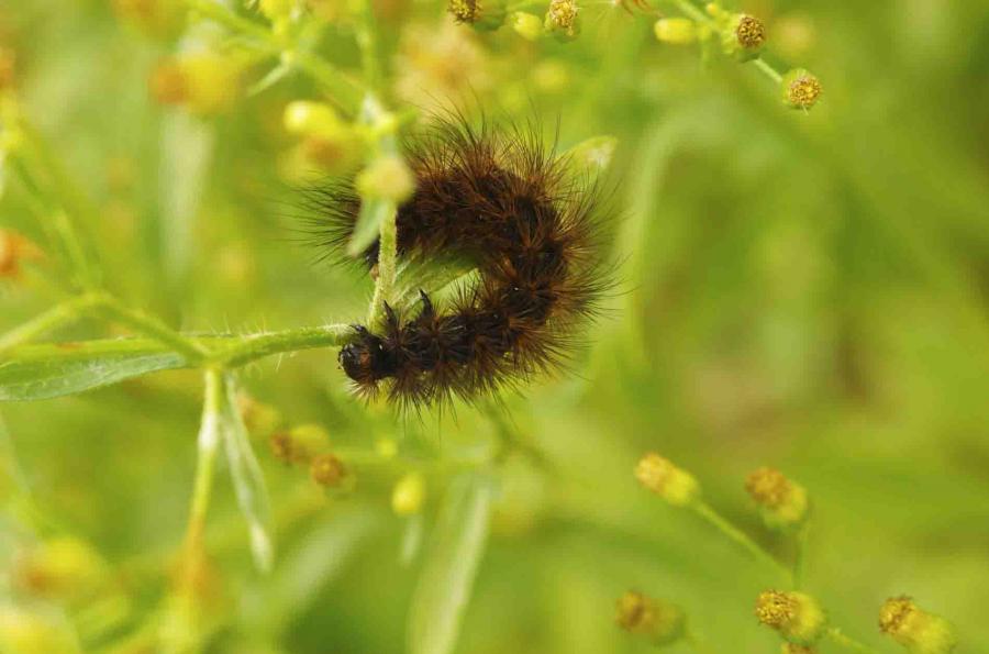 rencontres fortuites