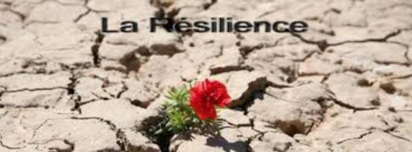 LA RÉSILIENCE