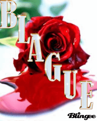 Accueil