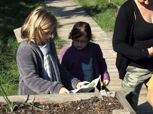 Sortie dans les jardins de l' association VIE.