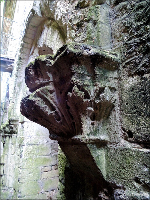 Photo des voûtes de l'abbaye royale-St Michel de l'Herm