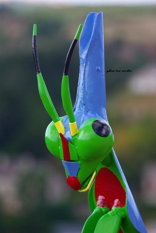 Insectes