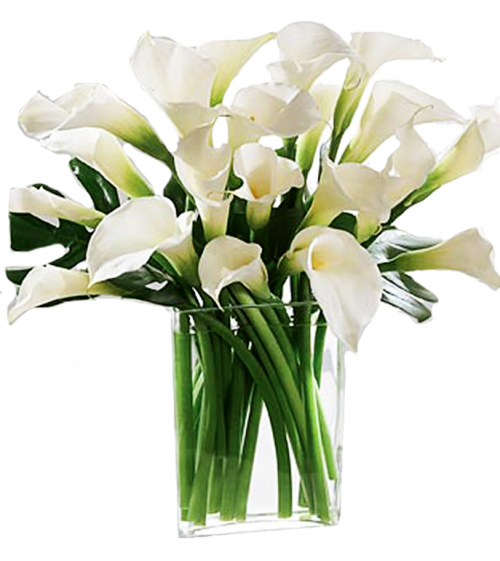 [Resim: 2i_r101neY49AD2c0U0tdosx-68.png]