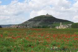 Jeudi 26 mai 2016 : Hornillos del Camino - Castrojeriz